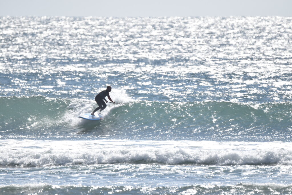 Norden SUPer Fish Wave SUP