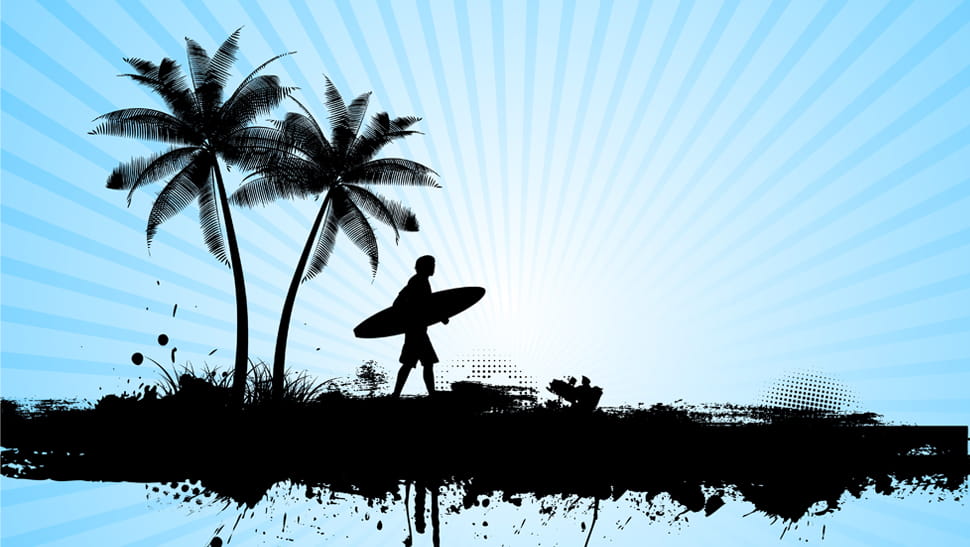 Die besten Surf Bücher